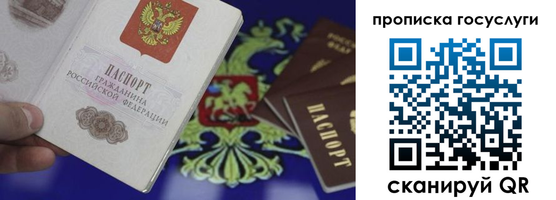 регистрация для школы в Ермолино
